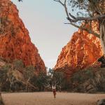 Alice Springs conference cancelled