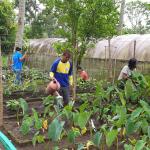 Community garden addressing food security in the Philippines