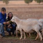 Farm to plate in Cobar