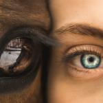Brisbane clubs tackling DV