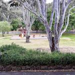 A project, a park, a playground, a purpose