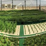 Aquaponic farms providing secure food systems