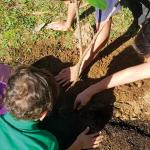 Poipoia te kakano kia puawai Nurture the seed and it will grow