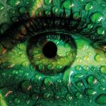 A clean green new era for Rotary