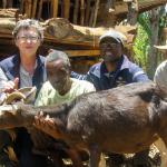 Milking Cow and Goat Project marks 10-year milestone