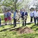Cowra embraces Congolese community