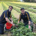 Delivering food and hope