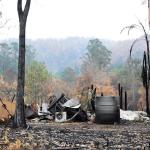 Black Summer Bushfires