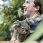 Koala Lovers Club plays starring role in RI public image campaign