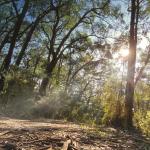 The Peninsula Trail