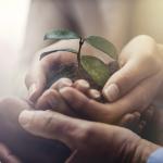 Rotaract unites for the Environment