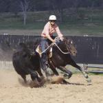 Burindi Campdraft