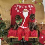 Santa Paws