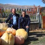Pumpkins for Polio