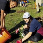 Growing peace, remembrance and community out of disaster