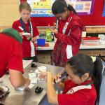 Magnifying Microscopes for Schools