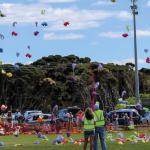 Teddies take to the sky