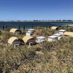Revolutionising nesting boxes to save Little Penguin populations