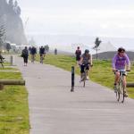 Napier Rotary Pathways