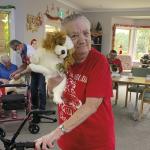 Companion pets bring joy