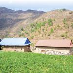 A water lifeline for Nepal