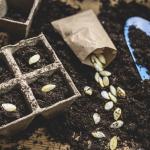 Seed Exchange Program
