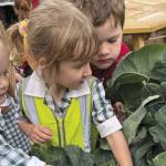 From blank page to bursting beds