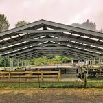 Rotary leads community effort for new Riding for Disabled arena