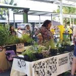 A celebration of community, environment and education